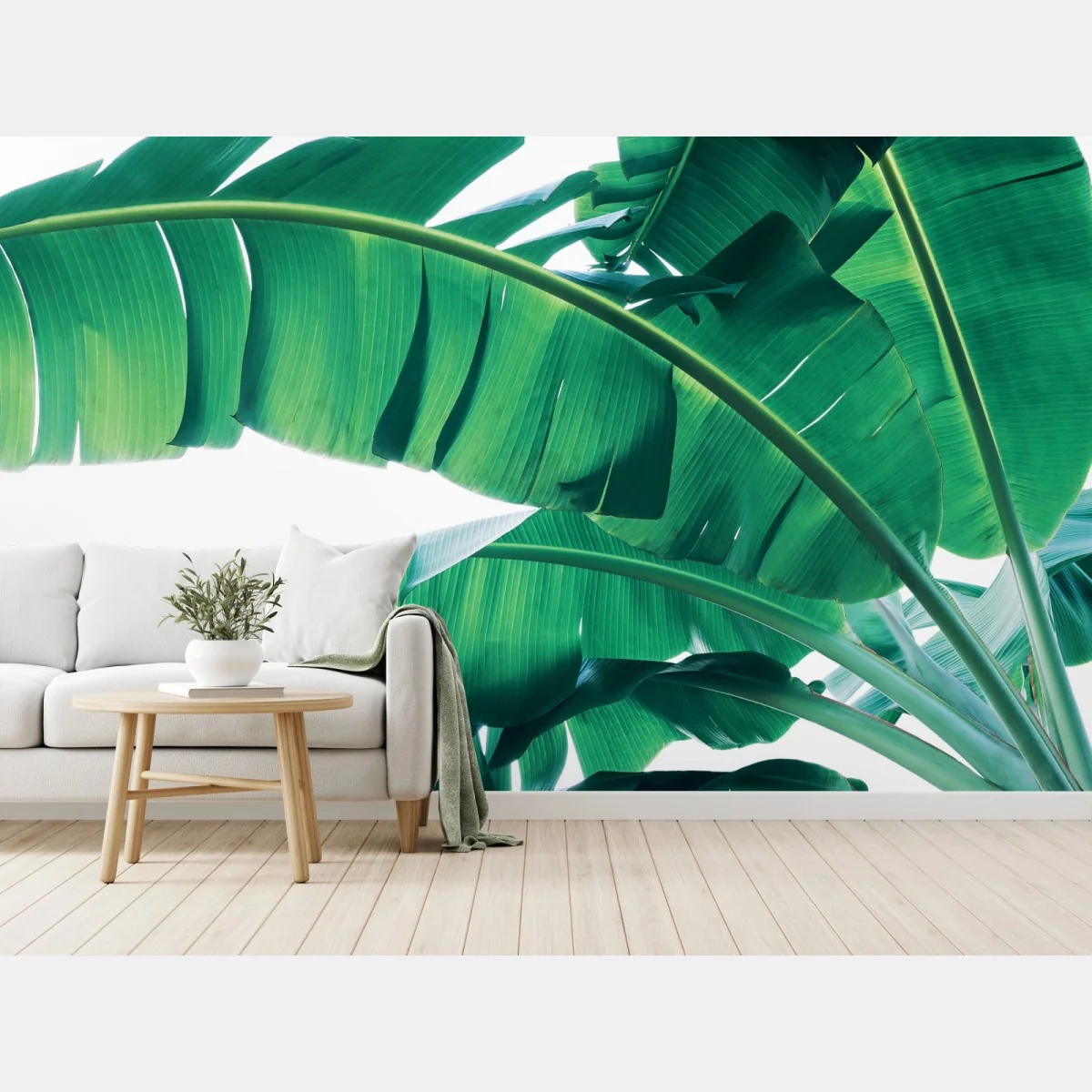 Papier peint feuilles de bananier motif tropical – Wallnifity® Papier peint feuilles de bananier motif tropical – Wallnifity®