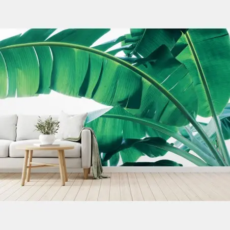 Papier peint feuilles de bananier motif tropical – Wallnifity®