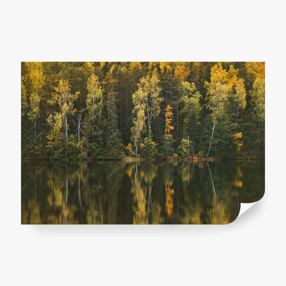 Papier peint reflets d'automne sur le lac – Wallnifity® Papier peint reflets d'automne sur le lac – Wallnifity®