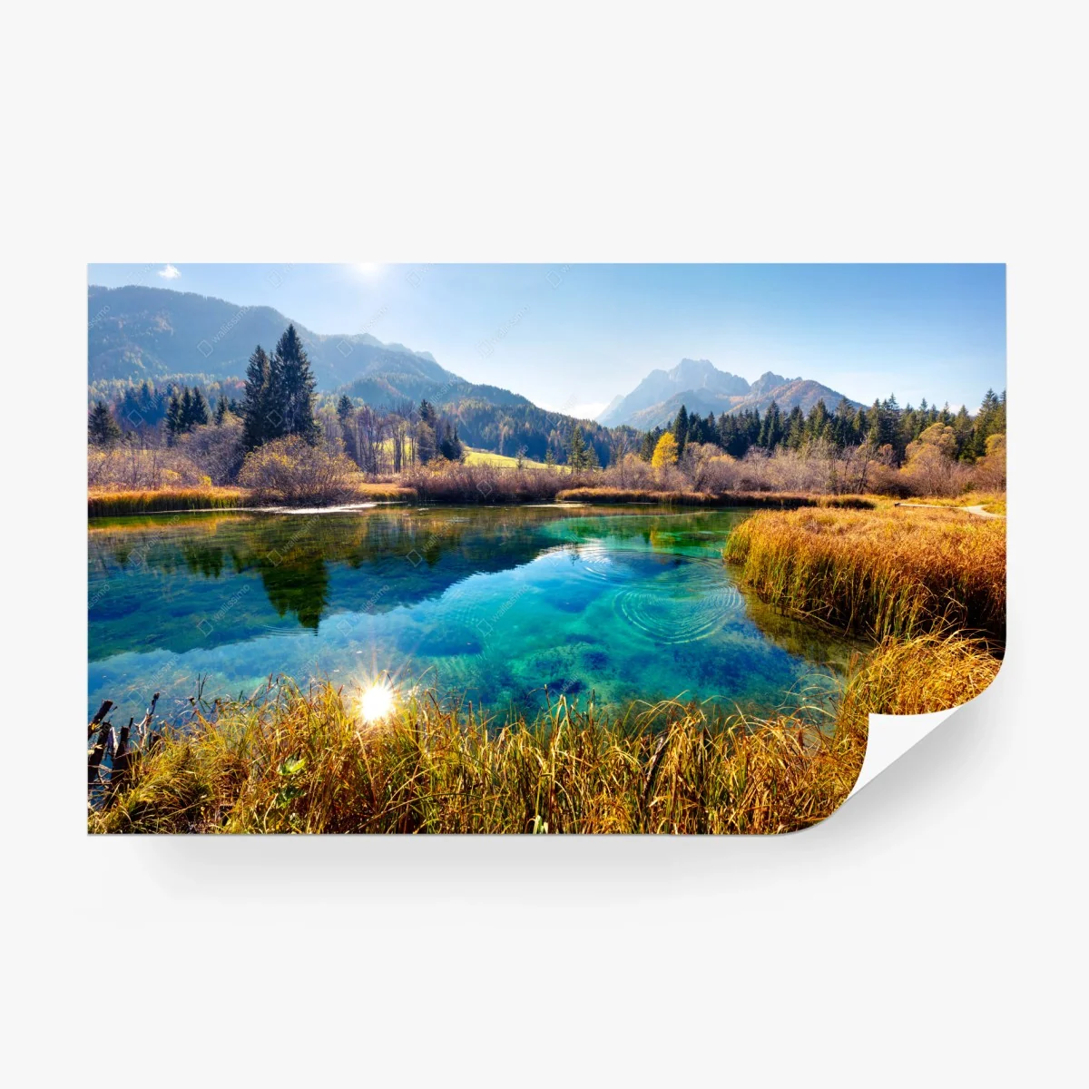 Papier peint reflet magique des Alpes Juliennes à Zelenci – Wallnifity® Papier peint reflet magique des Alpes Juliennes à Zelenci – Wallnifity®