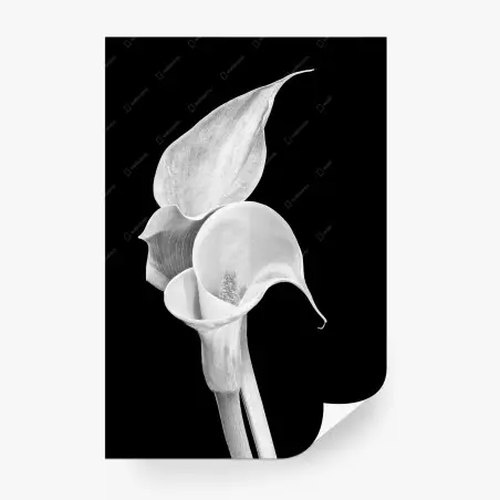 Papier peint composition florale minimaliste en noir et blanc – Wallnifity®