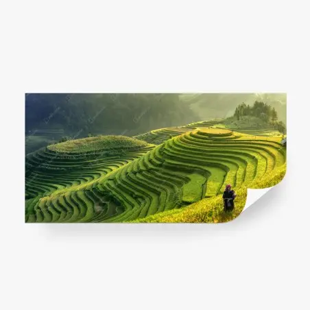 Papier peint paysage de rizières en terrasses de Mu Cang Chai – Wallnifity®