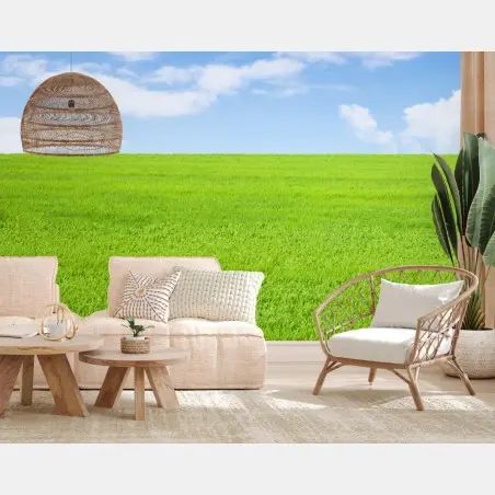 Papier peint prairie verdoyante sous ciel bleu – Wallnifity®