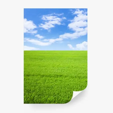 Papier peint prairie verdoyante sous ciel bleu – Wallnifity®