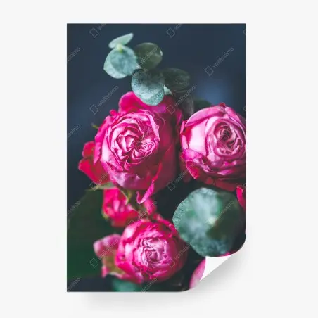 Papier peint roses fuchsia en gros plan sur fond bleu – Wallnifity®