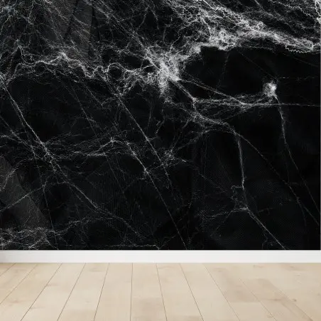 Papier peint toile d'araignée spectrale sur fond noir – Wallnifity®