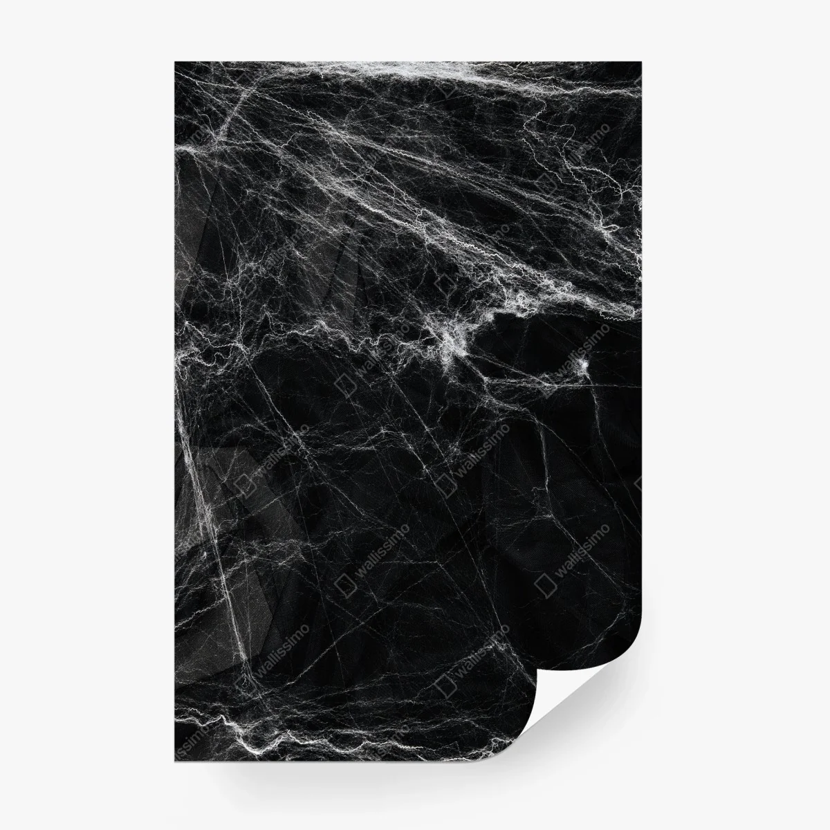 Papier peint toile d'araignée spectrale sur fond noir – Wallnifity®