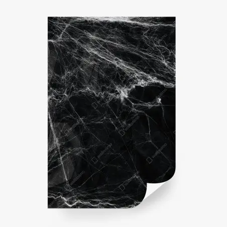 Papier peint toile d'araignée spectrale sur fond noir – Wallnifity®