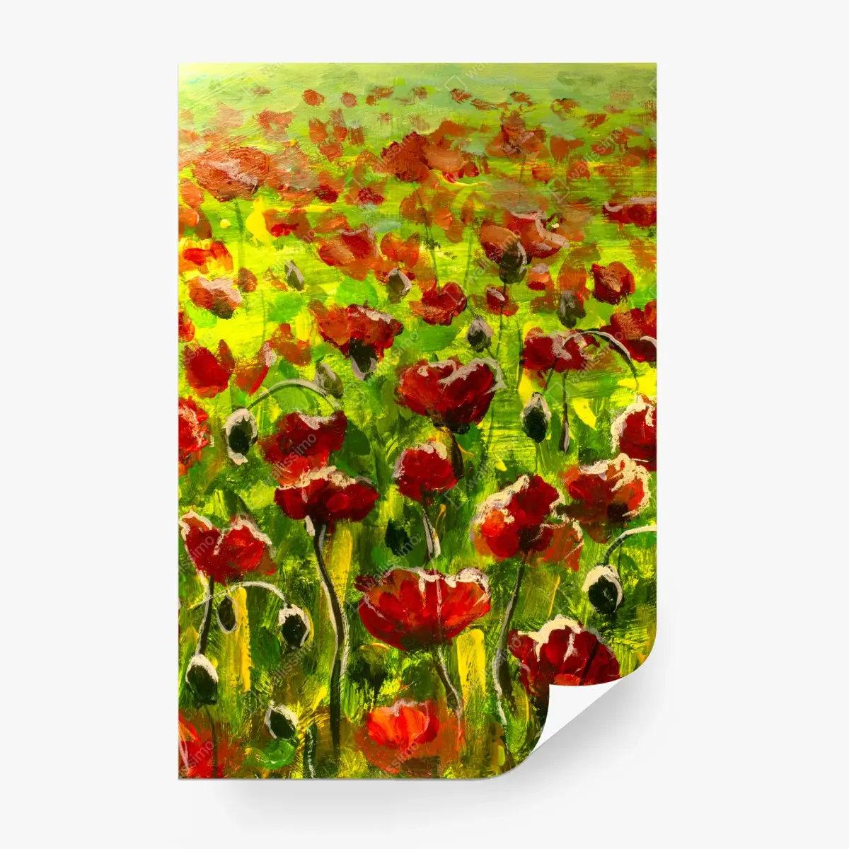 Papier peint champs de coquelicots au coucher du soleil – Wallnifity®