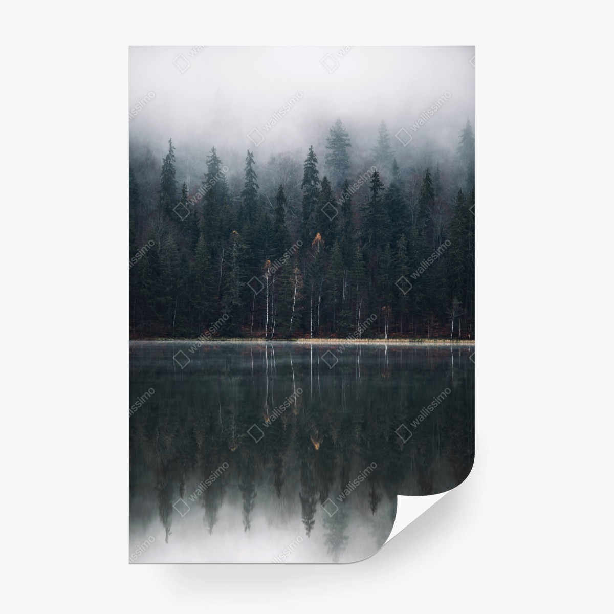 Papier peint forêt brumeuse au bord du lac, reflet apaisant – Wallnifity® Papier peint forêt brumeuse au bord du lac, reflet apaisant – Wallnifity®
