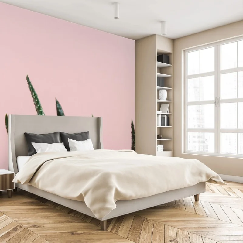 Papier peint aloe minimaliste sur fond rose – Wallnifity® Papier peint aloe minimaliste sur fond rose – Wallnifity®
