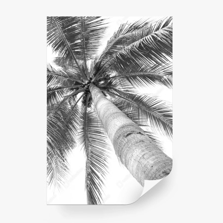 Papier peint palmier en contre-plongée monochrome – Wallnifity®