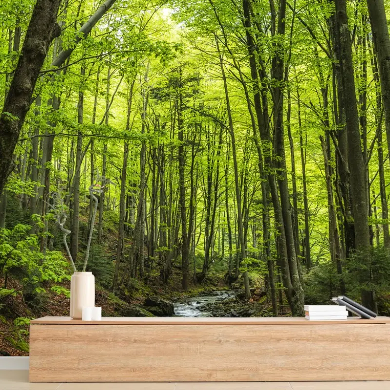 Forêts – Wallnifity®