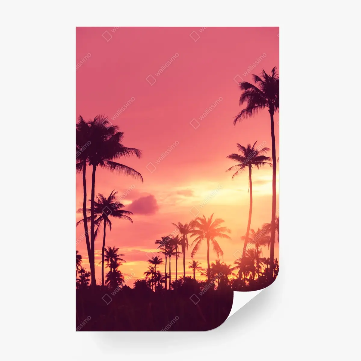 Papier peint coucher de soleil tropical aux palmiers – Wallnifity®