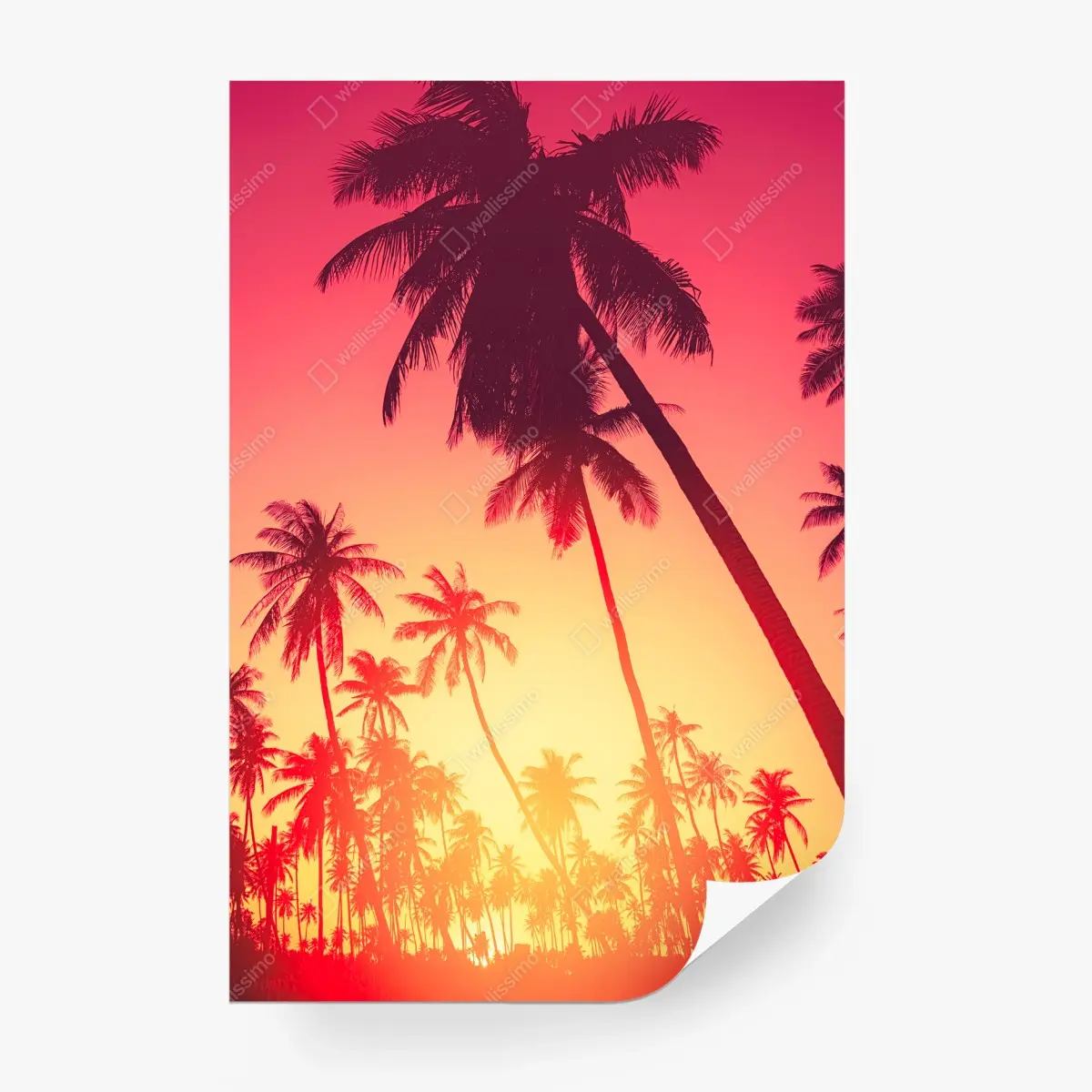 Papier peint silhouettes de palmiers au coucher de soleil tropical – Wallnifity®