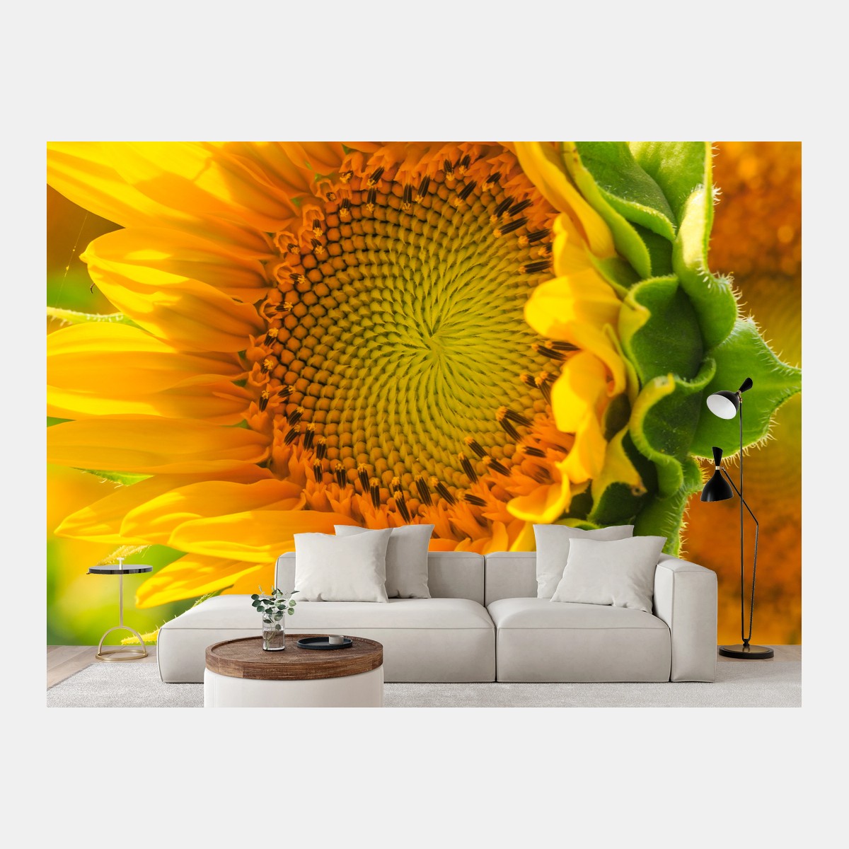 Papier peint gros plan de tournesol lumineux – Wallnifity®