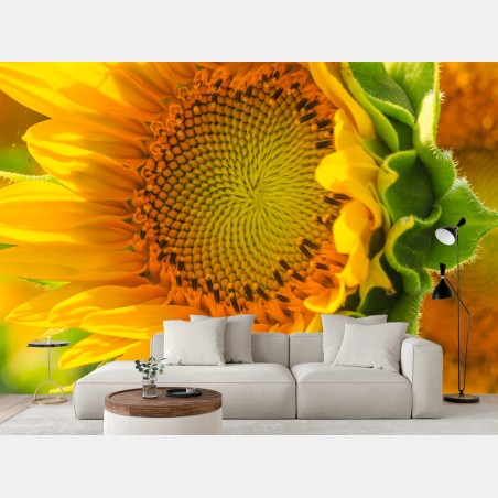 Papier peint gros plan de tournesol lumineux – Wallnifity®