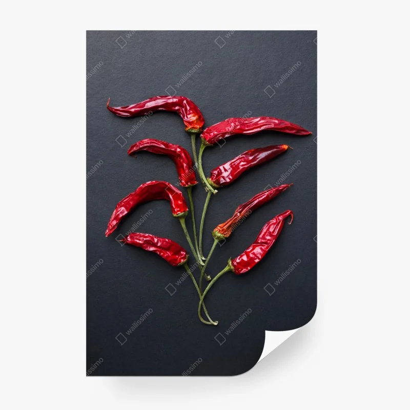 Papier peint arbre de piments rouges séchés sur fond noir – Wallnifity®