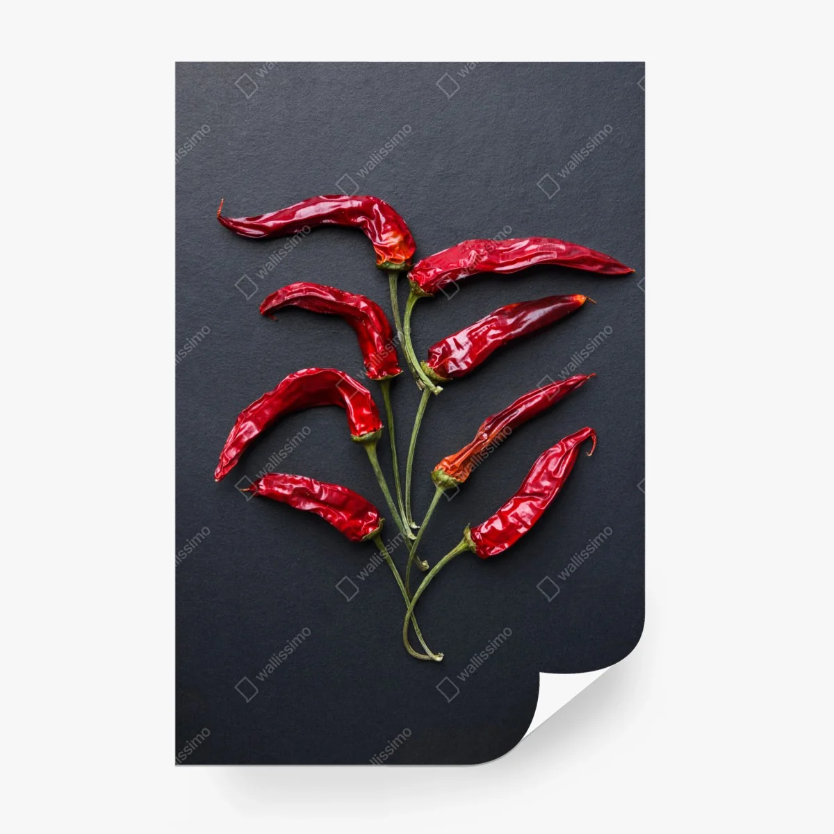 Papier peint arbre de piments rouges séchés sur fond noir – Wallnifity®