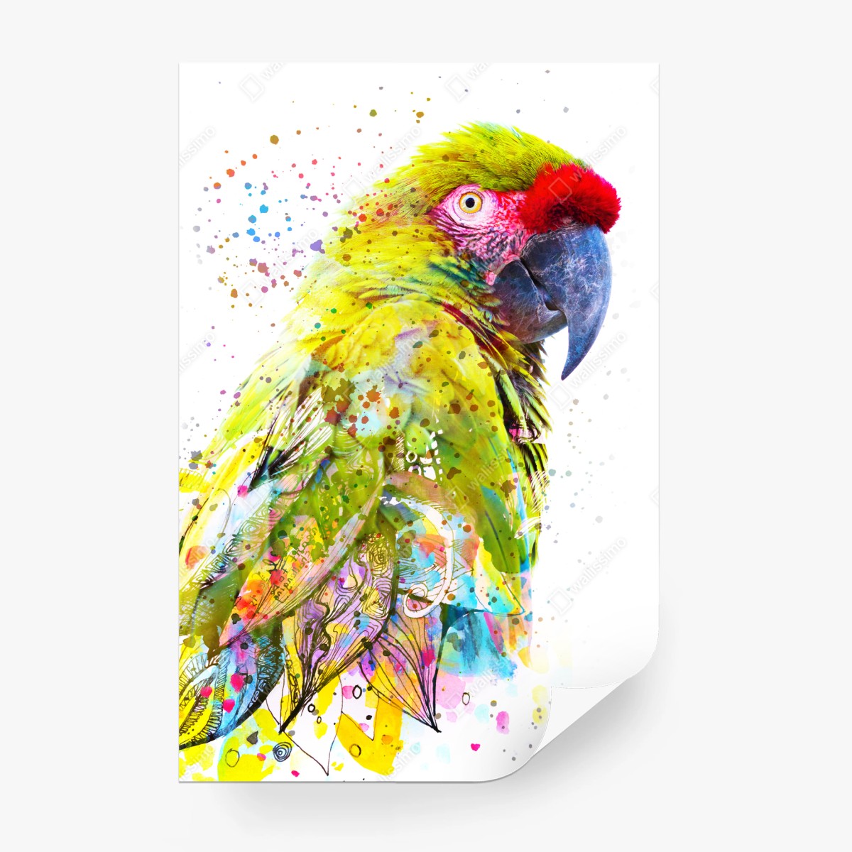 Papier peint perroquet tropical en aquarelle et encre double-exposition – Wallnifity®