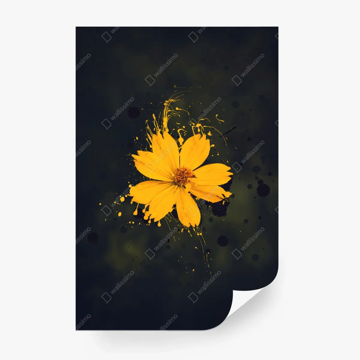 Papier peint fleur jaune en éclaboussures sur fond sombre – Wallnifity®