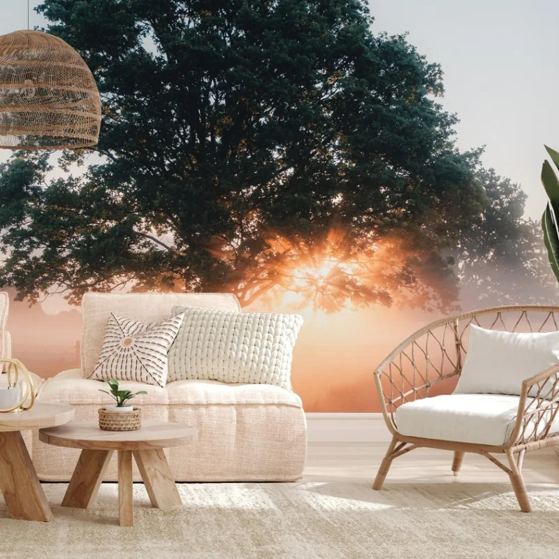 Papier peint chêne solitaire au lever du soleil – Wallnifity®