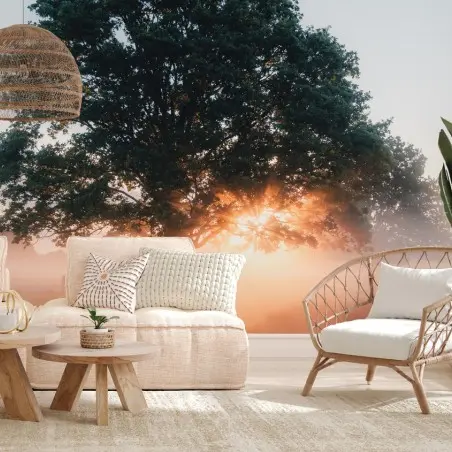 Papier peint chêne solitaire au lever du soleil – Wallnifity®