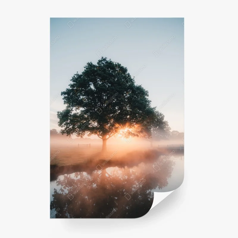 Papier peint chêne solitaire au lever du soleil – Wallnifity®