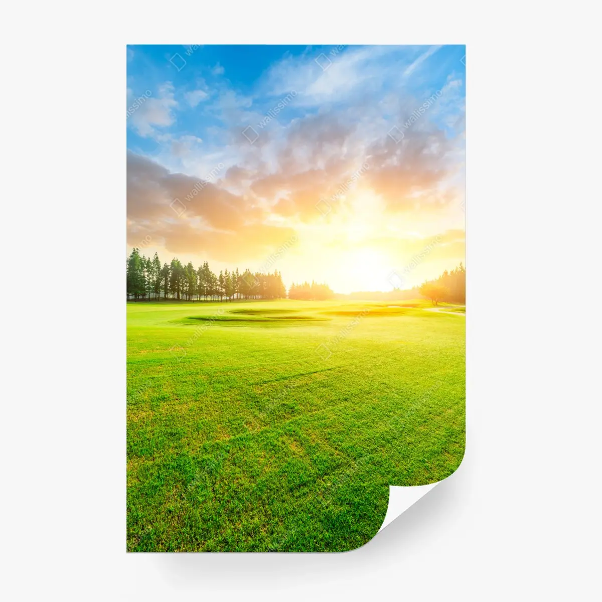 Papier peint coucher de soleil doré sur le gazon et la forêt – Wallnifity®