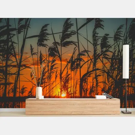 Papier peint silhouettes de roseaux au coucher de soleil – Wallnifity®