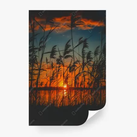 Papier peint silhouettes de roseaux au coucher de soleil – Wallnifity®