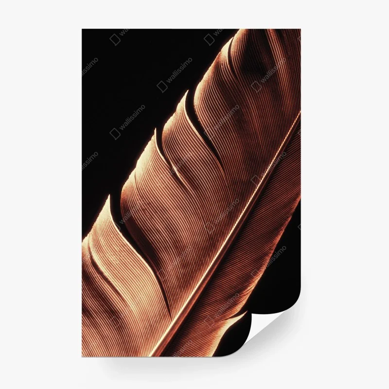 Papier peint plume délicate en contre-jour – Wallnifity® Papier peint plume délicate en contre-jour – Wallnifity®