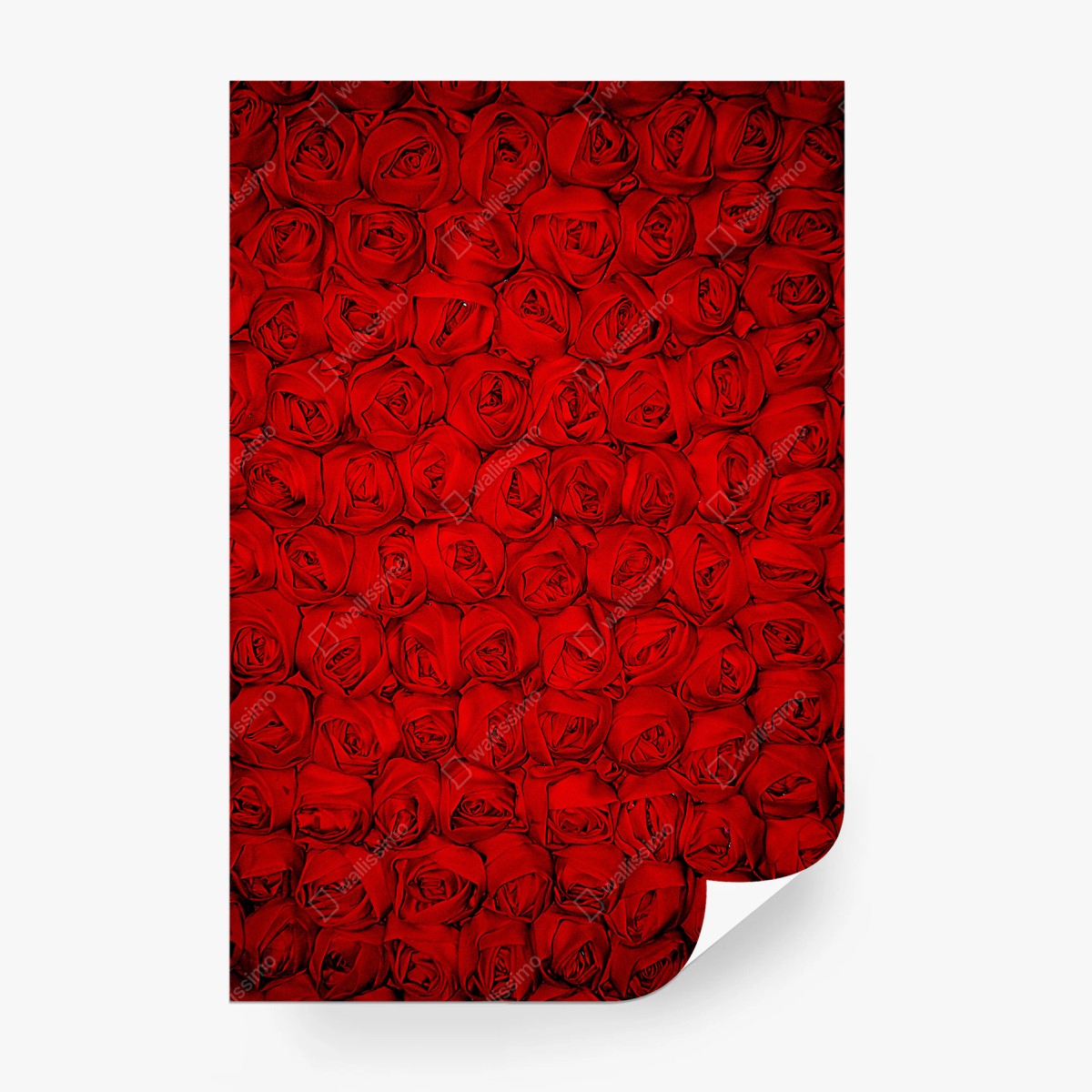 Papier peint mur de roses rouges romantiques – Wallnifity® Papier peint mur de roses rouges romantiques – Wallnifity®