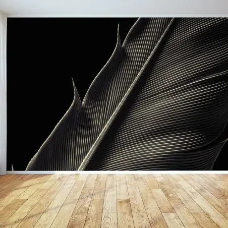 Papier peint plume délicate en noir et blanc – Wallnifity®