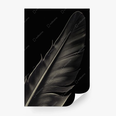 Papier peint plume délicate en noir et blanc – Wallnifity®