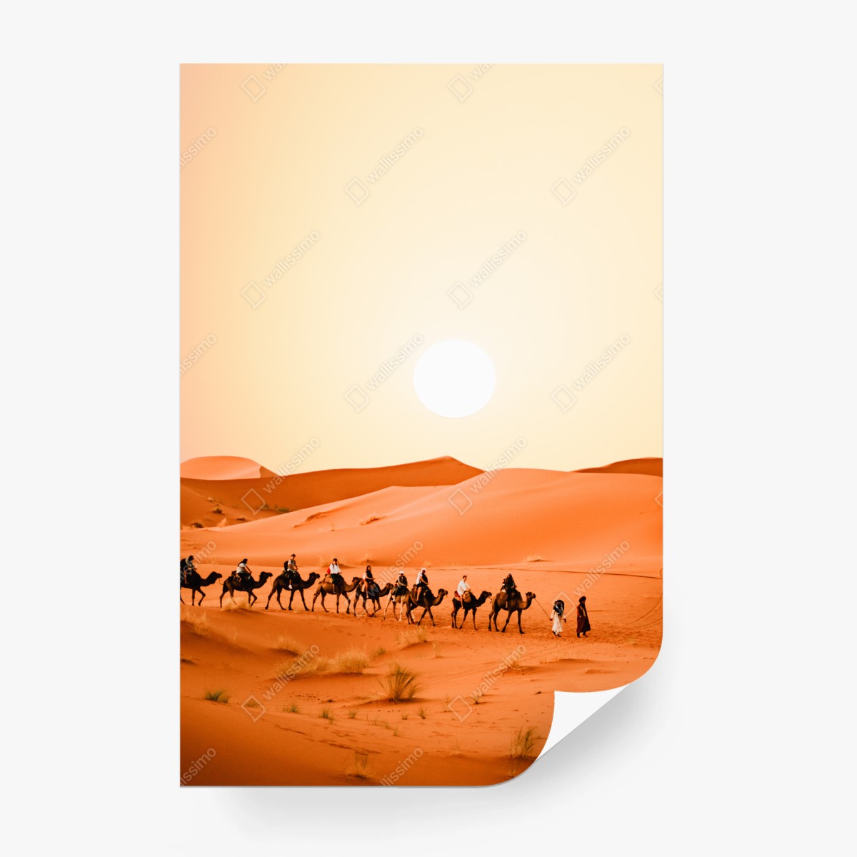 Papier peint caravane de chameaux au coucher de soleil dans le désert – Wallnifity®