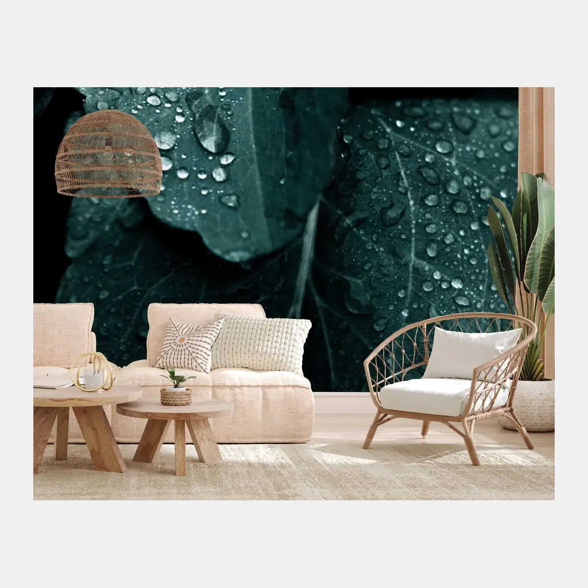 Papier peint feuilles perlées de rosée – Wallnifity®