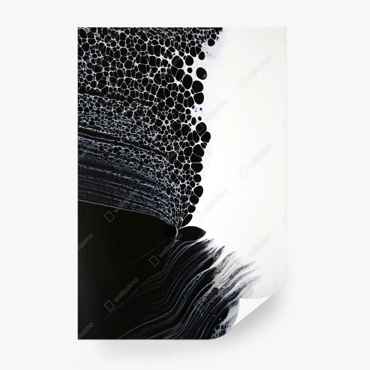 Papier peint mélodie cellulaire en noir et blanc – Wallnifity®
