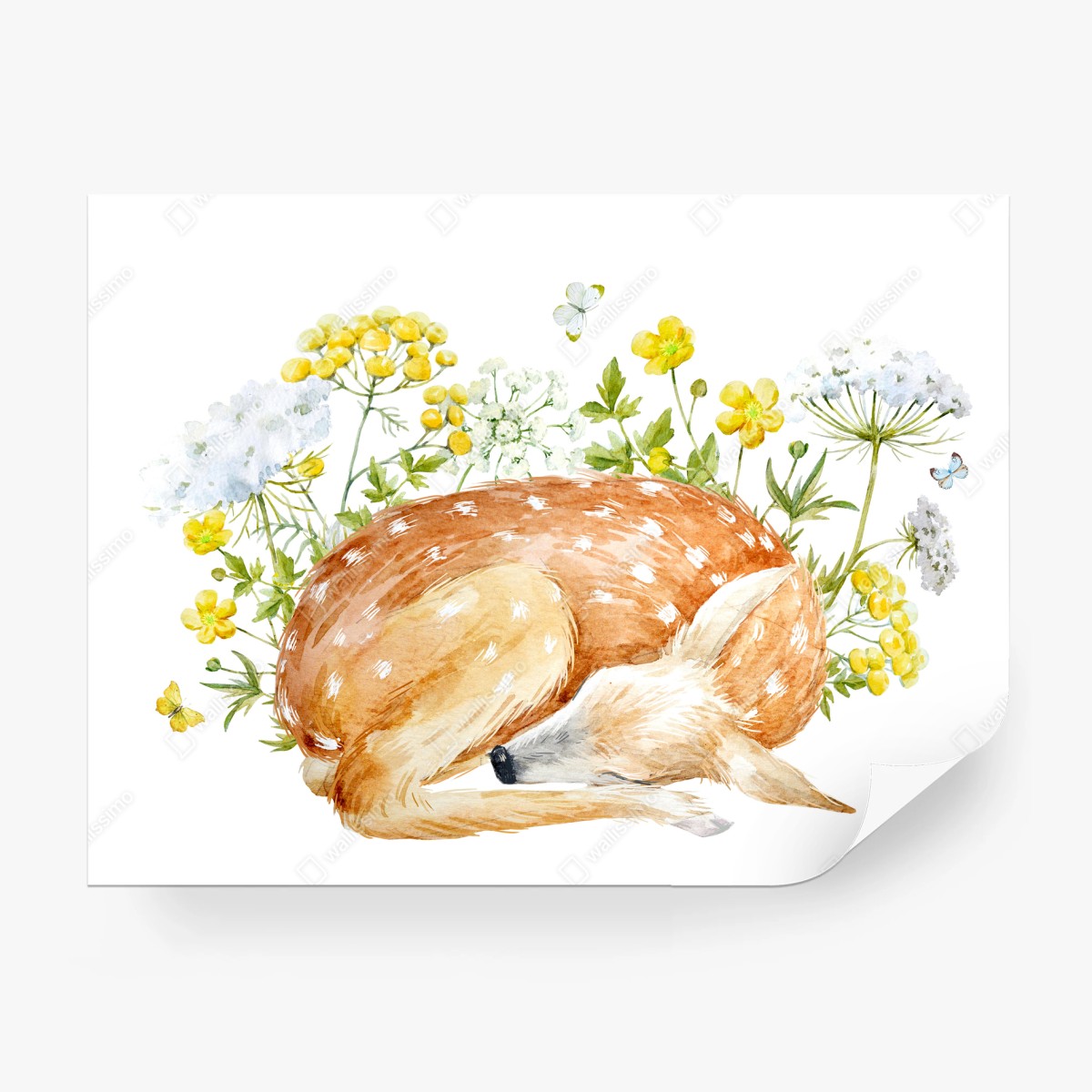 Papier peint faon endormi parmi les fleurs sauvages – Wallnifity®