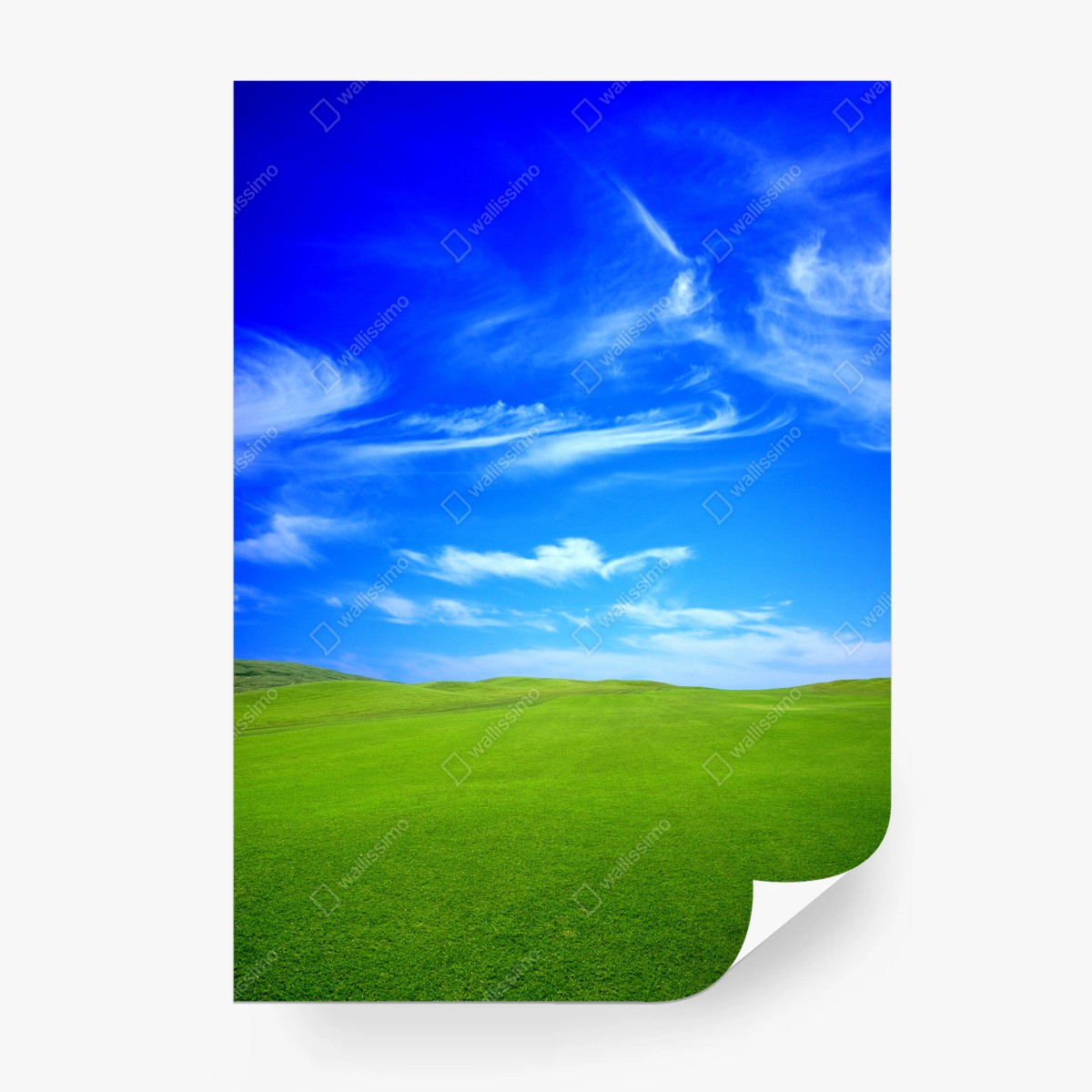 Papier peint horizon verdoyant sous ciel azur – Wallnifity®