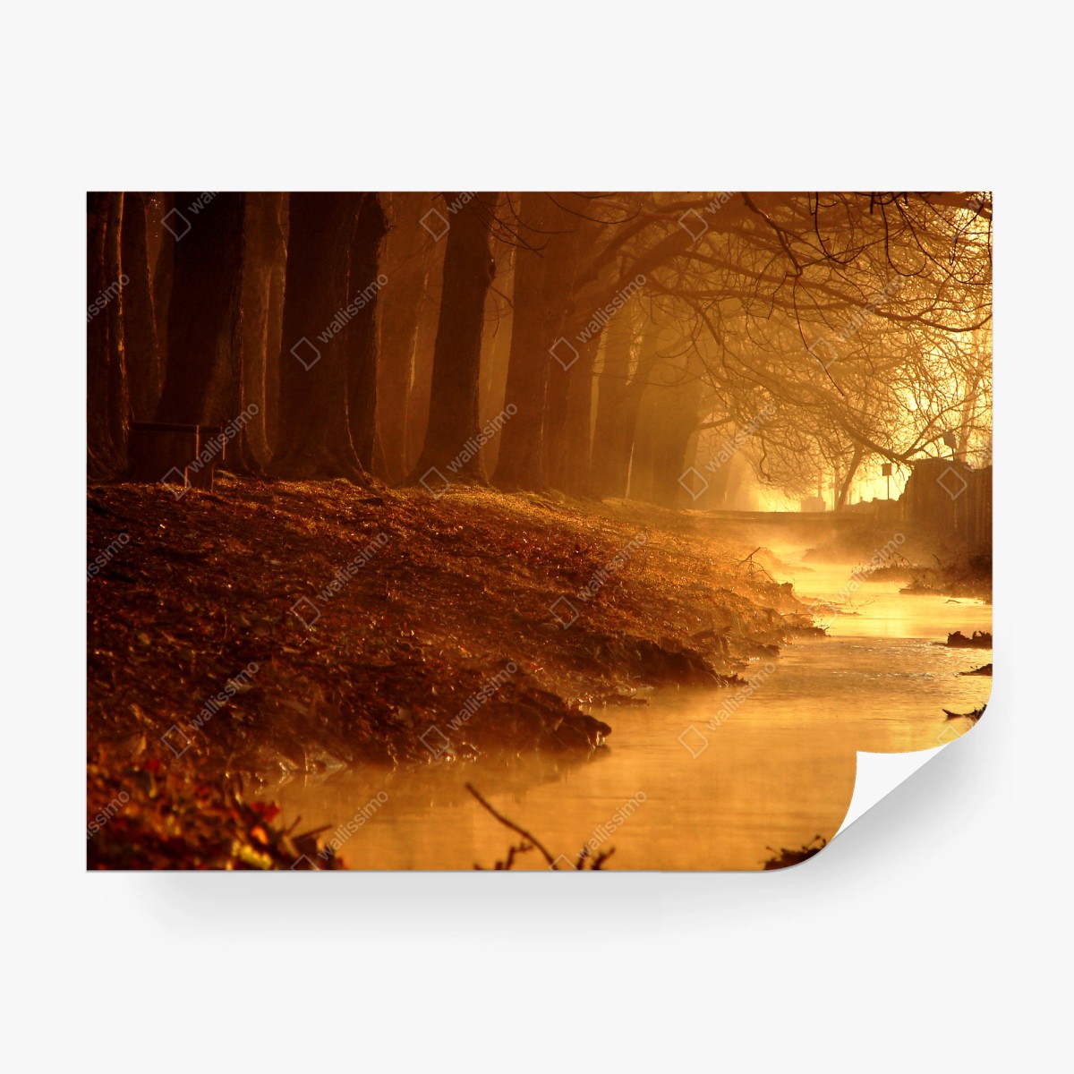 Papier peint brume dorée au bord du ruisseau – Wallnifity®