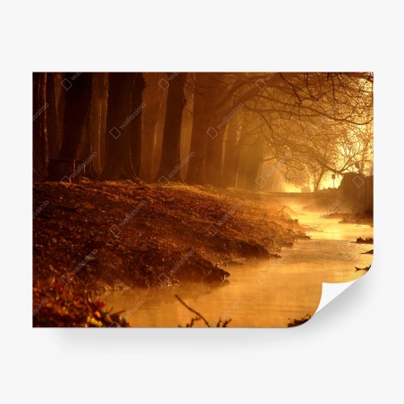 Papier peint brume dorée au bord du ruisseau – Wallnifity®