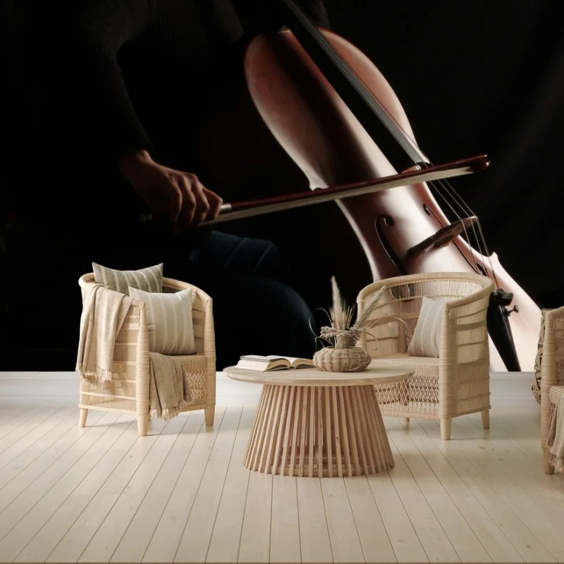 Papier peint silhouette de violoncelliste sous lumière douce – Wallnifity®