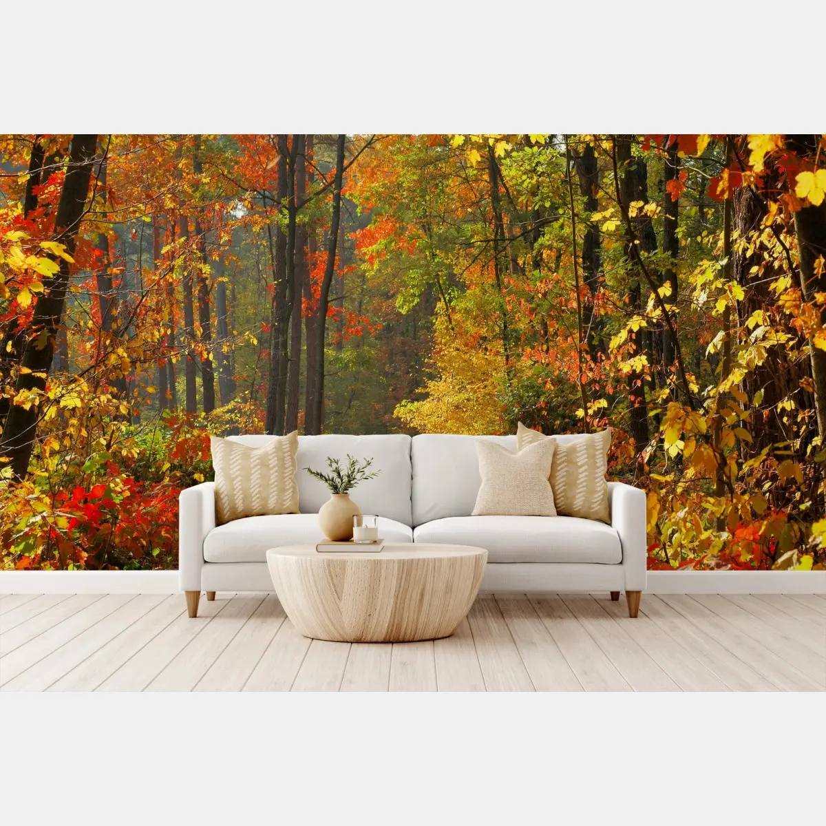 Papier peint chemin automnal en forêt colorée – Wallnifity®