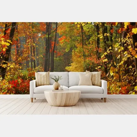 Papier peint chemin automnal en forêt colorée – Wallnifity®