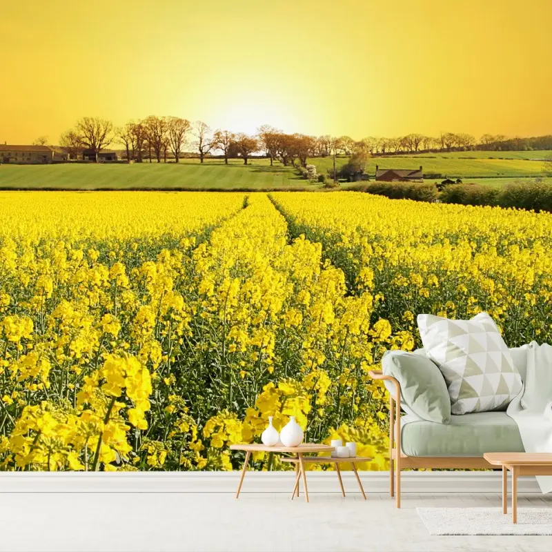 Prairies – Wallnifity®