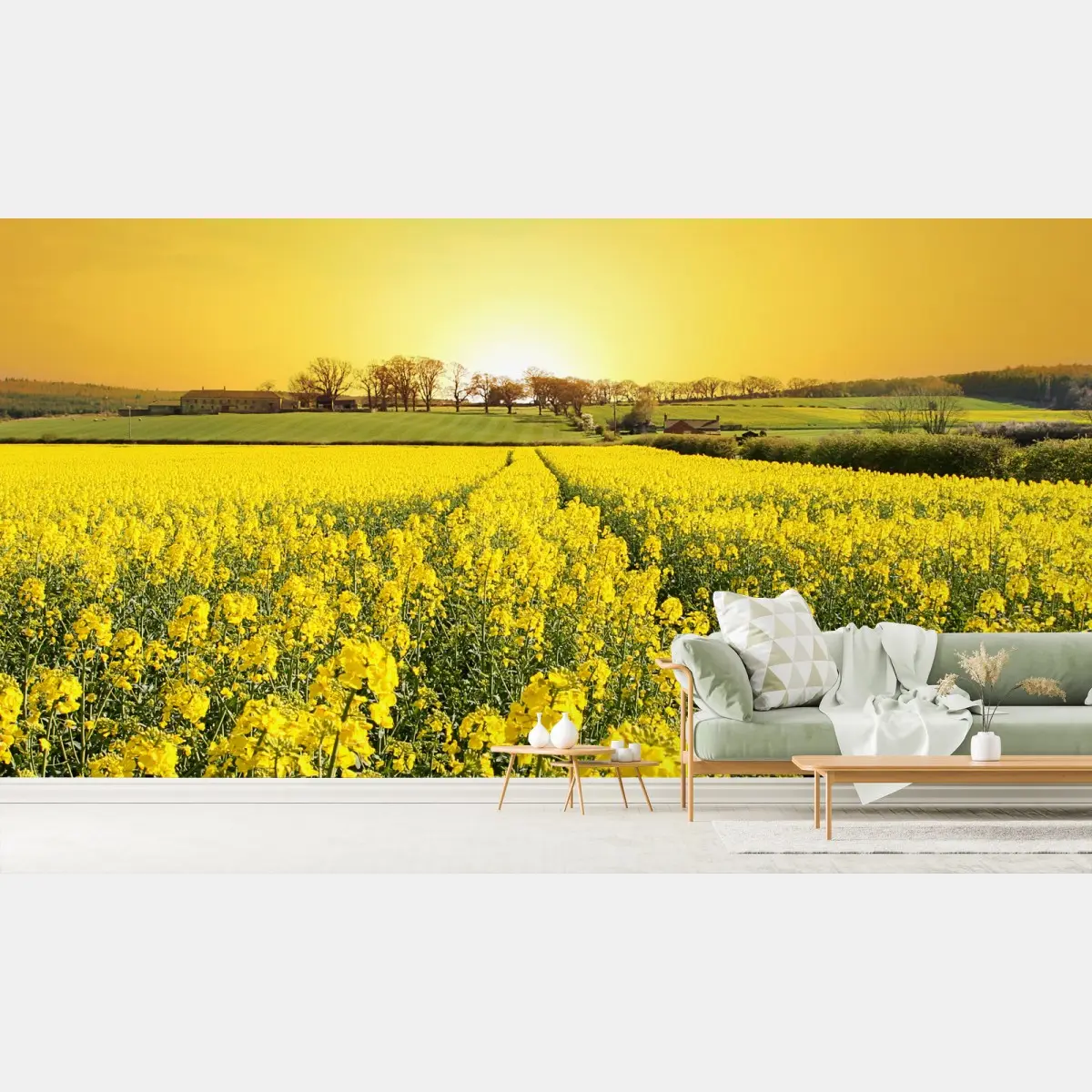 Papier peint horizon doré sur champ de colza – Wallnifity®