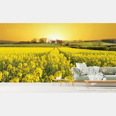 Papier peint horizon doré sur champ de colza – Wallnifity®
