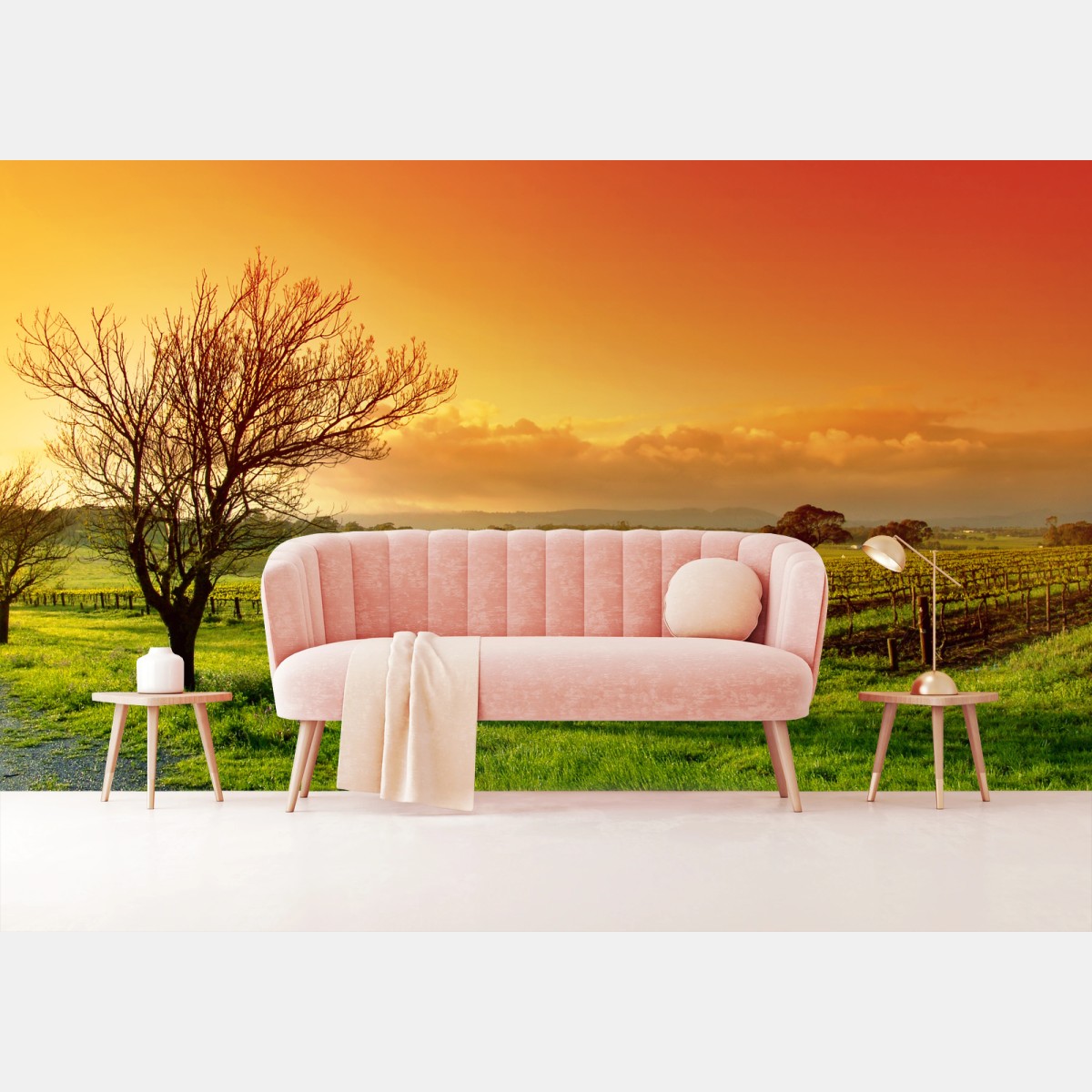 Papier peint vignoble au lever du soleil – Wallnifity®