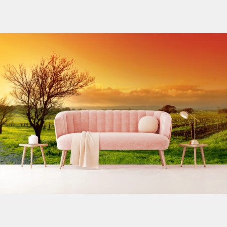 Papier peint vignoble au lever du soleil – Wallnifity®